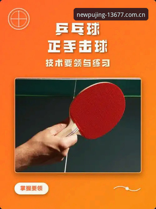 新浦京赛事资讯实战指南：从入门到精通的高效操作详解