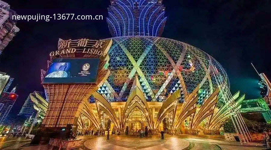 新浦京娱乐平台实用指南：如何高效获取赛事资讯与沉浸式体验