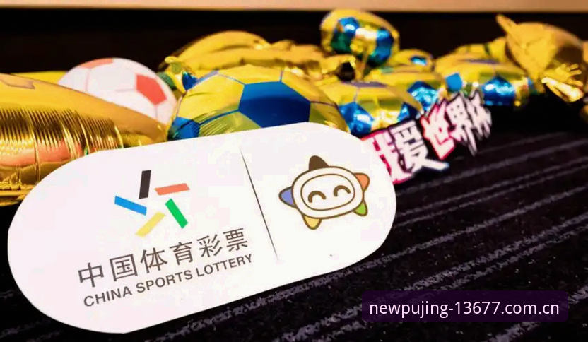 世界杯球迷签证困境 vs 新浦京赛事数据体验：观赛前的冷思考